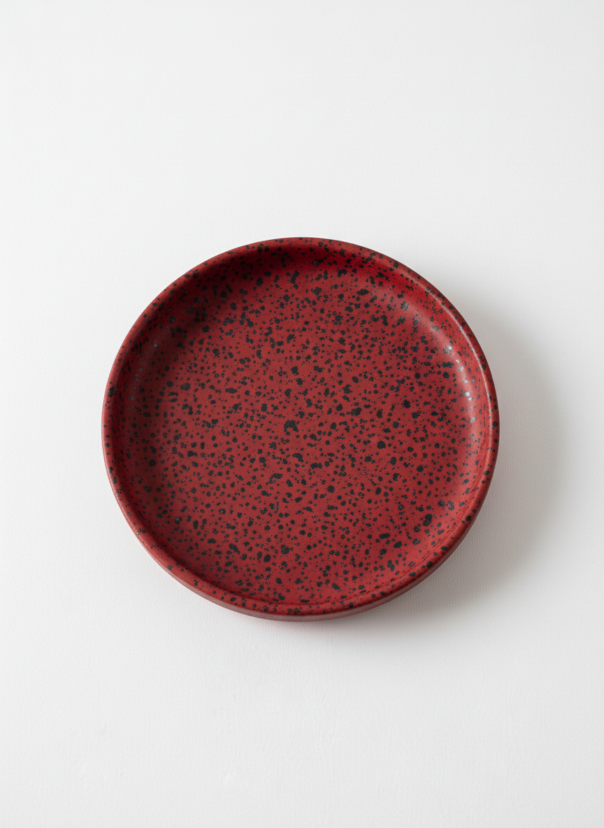 Decorative Plate with Speckled Matte Coating