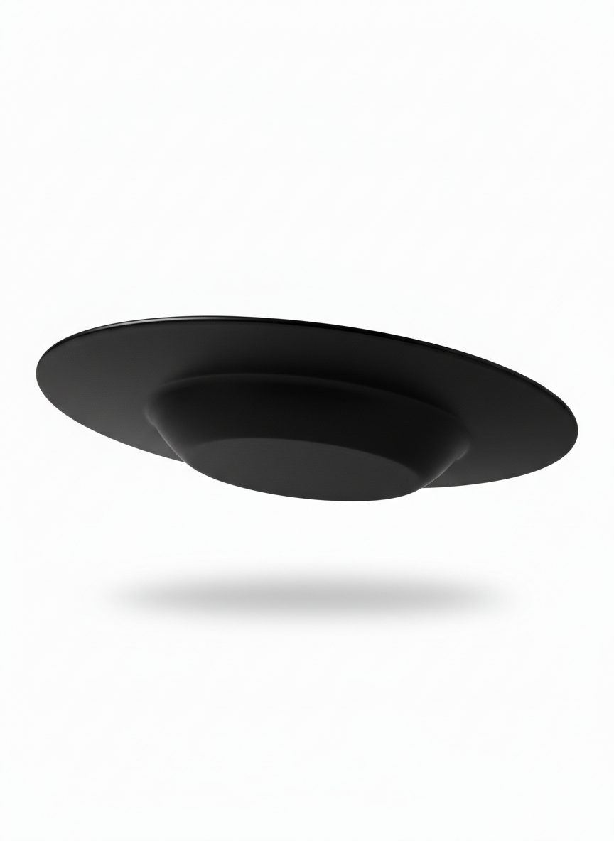 Decorative Plate with Wide Flat Rim